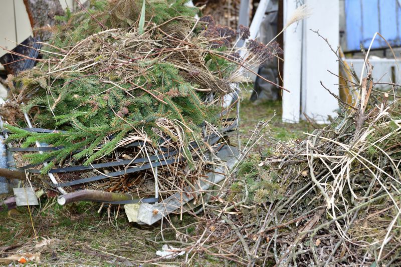 Lawn Debris Cleanup in Honolulu, HI