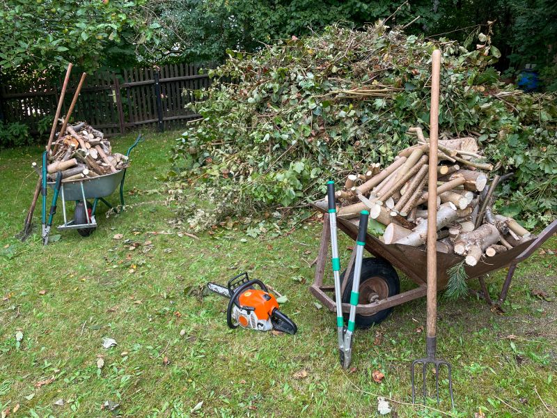 Lawn Debris Cleanup in Honolulu, HI