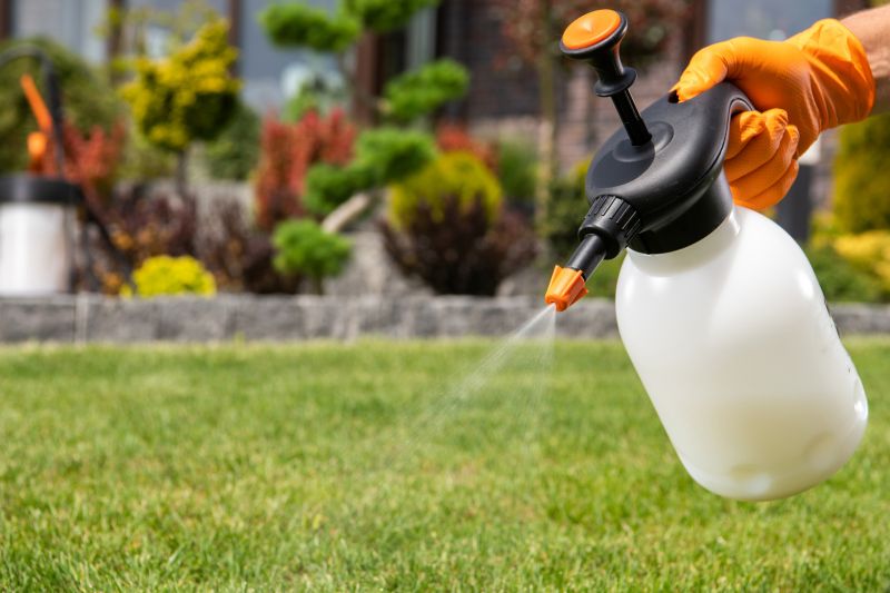 Lawn Disease Treatment in Honolulu, HI