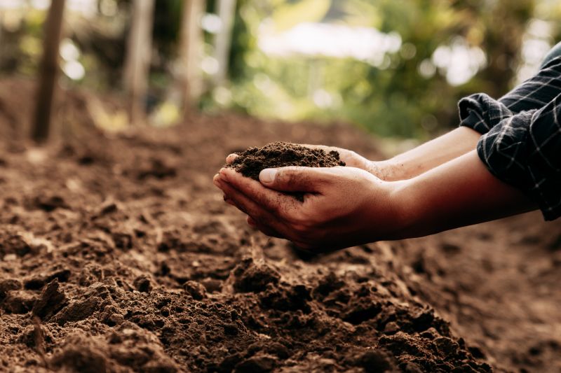 Lawn Enrichment in Ventura County, CA