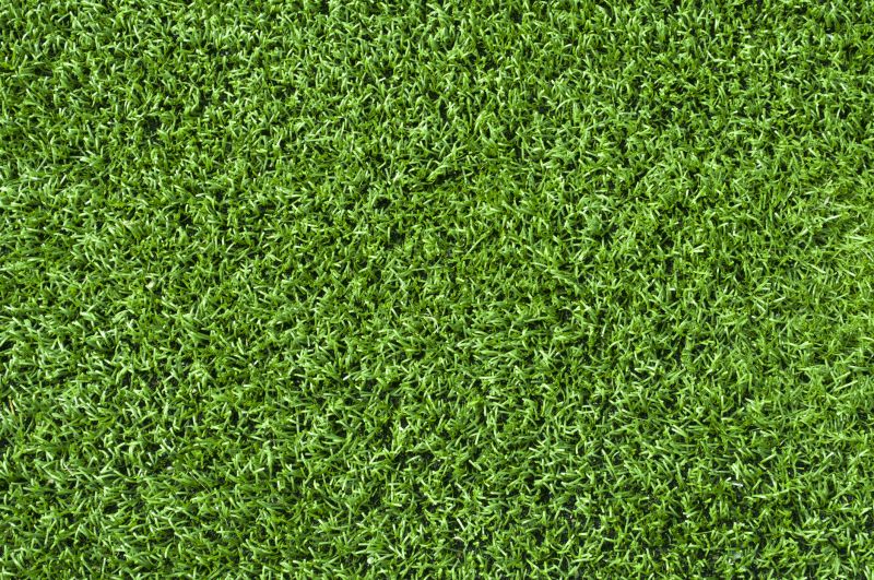 Lawn Enrichment in Honolulu, HI