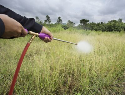 Lawn Herbicide Treatment in Rockwall, TX