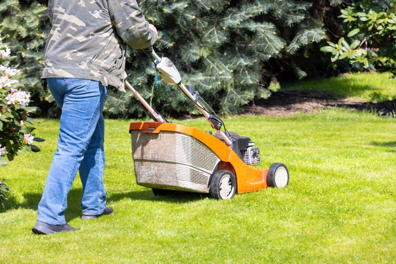 Lawn Mowing And Trimming Service