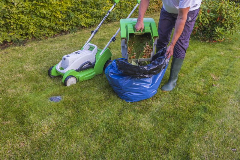 Lawn Mowing And Trimming Service