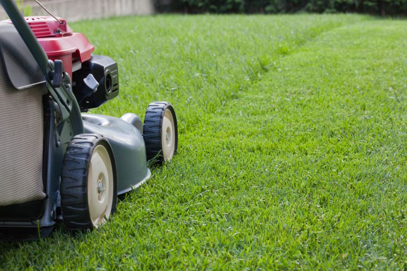 Lawn Mowing And Trimming Service