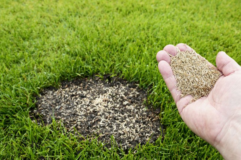 Lawn Seeding in Honolulu, HI