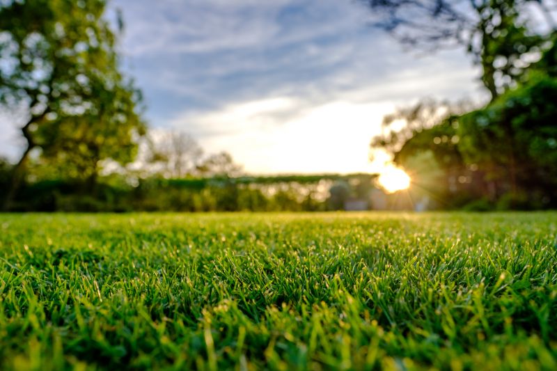 Lawn Topdressing in Ventura County, CA