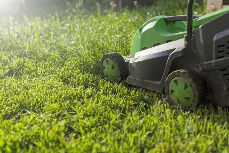 Lawn Trimming in Bowie, MD