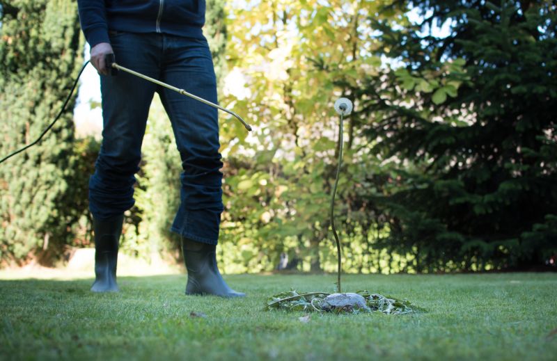 Lawn Weed Control in Honolulu, HI