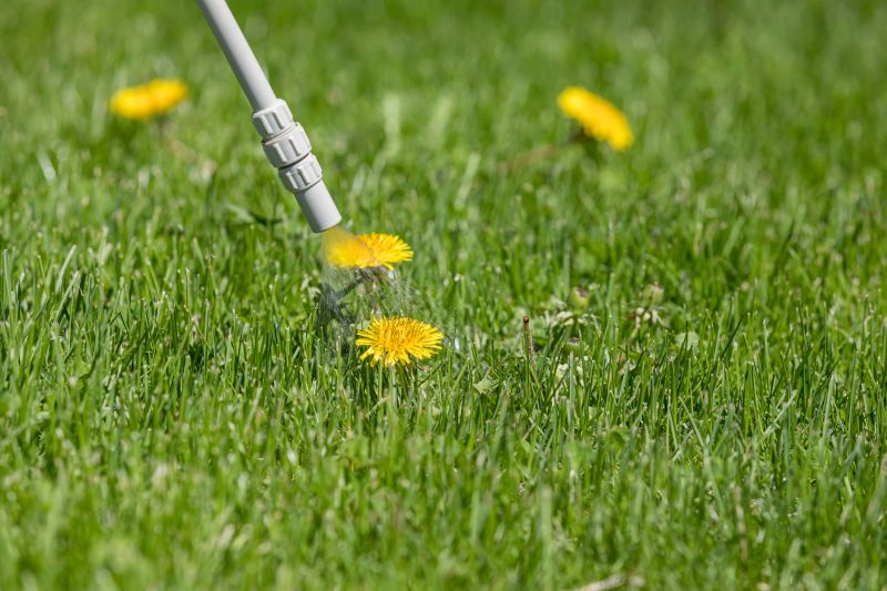 Lawn Weed Spraying in Honolulu, HI