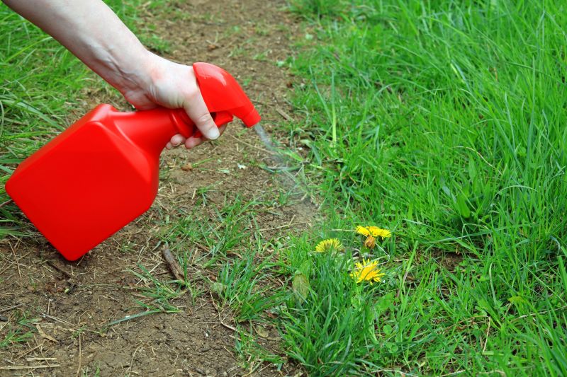 Lawn Weed Treatment in Rockwall, TX