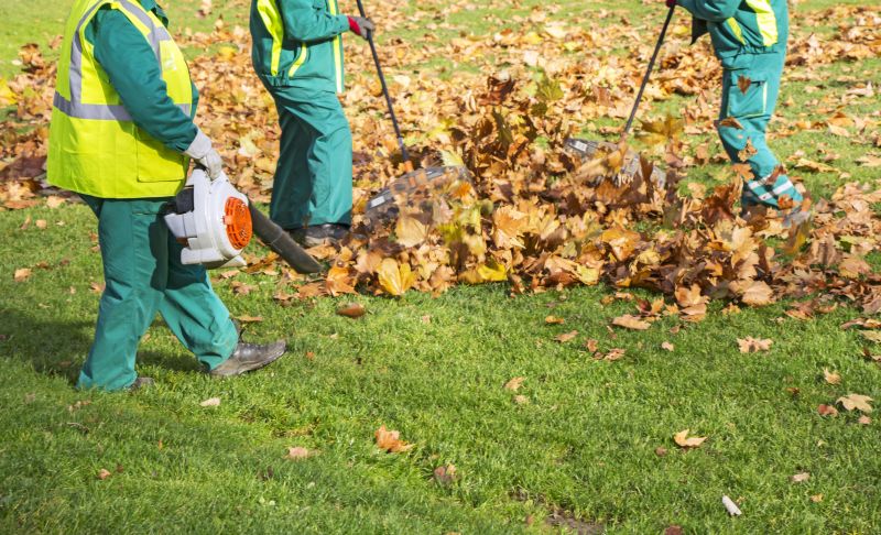 Leaf Cleanup Service in Ventura County, CA