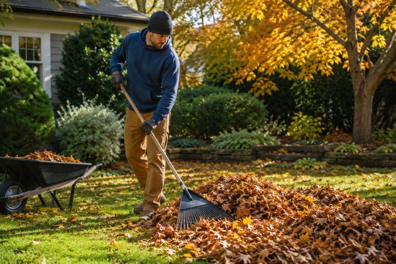 Leaf Raking Service in Honolulu, HI