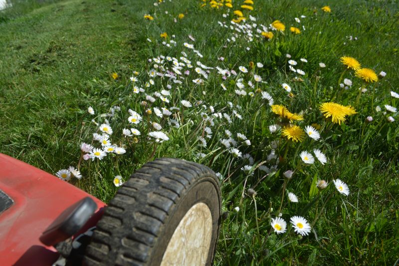 Meadow Mowing in Calvert County, MD
