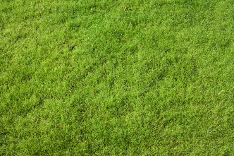 New Construction Lawn Seeding in Honolulu, HI