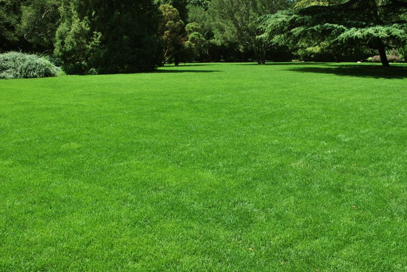 New Construction Lawn Seeding in Honolulu, HI