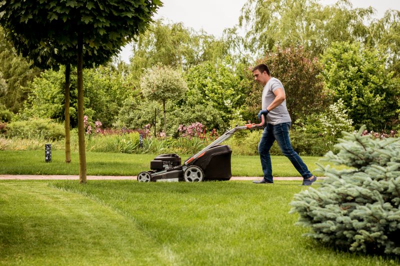 Overgrown Lawn Trimming in Bowie, MD