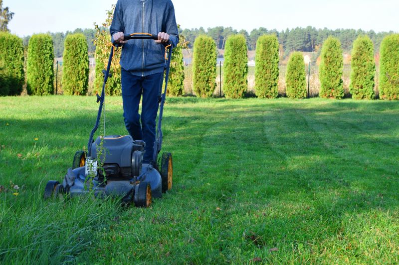 Overgrown Lawn Trimming in Bowie, MD