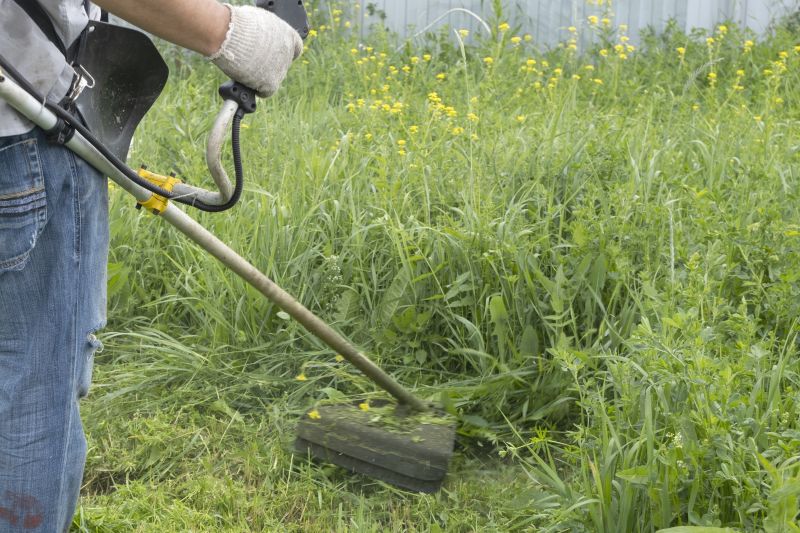 Overgrown Lawn Trimming in Bowie, MD