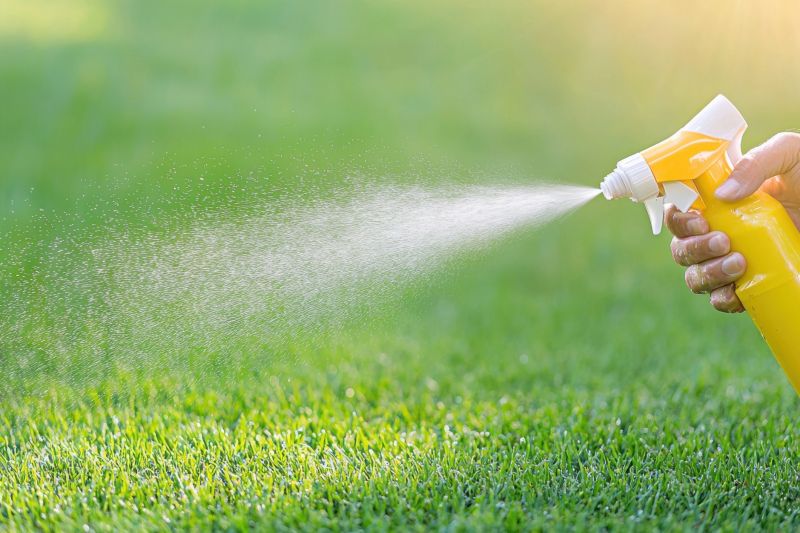 Pampas Grass Control in Aiken, SC