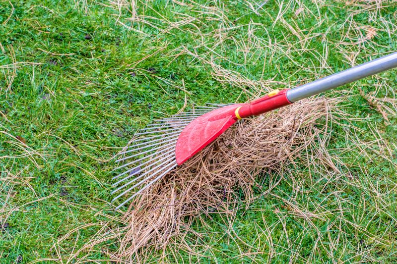 Pine Straw Raking in Ventura County, CA