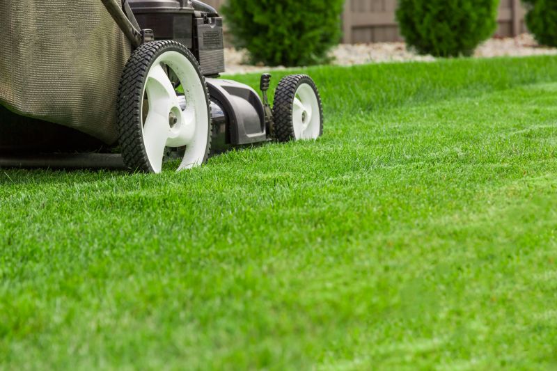 Routine Lawn Care in Bowie, MD