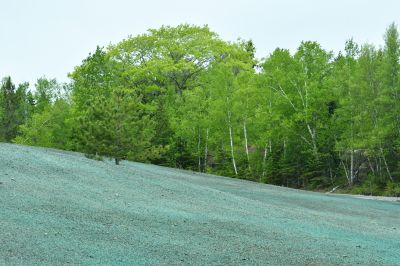 Slope Hydroseeding in Honolulu, HI