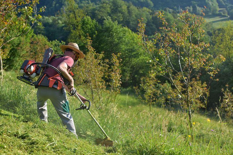 Slope Mowing in Bowie, MD