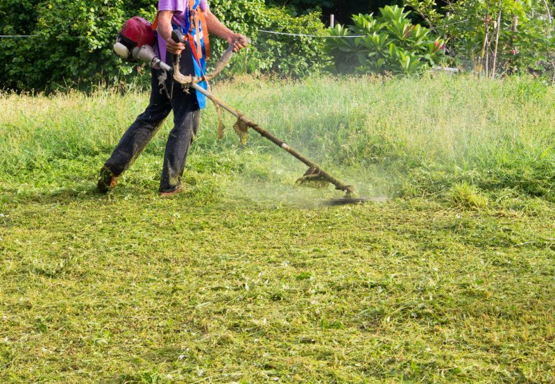 Slope Weed Control in Rockwall, TX