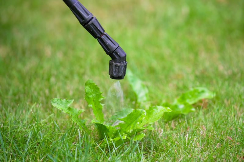 Slope Weed Control in Rockwall, TX