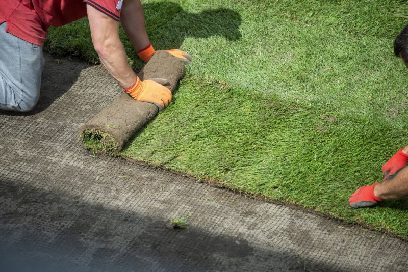Soil Topdressing in Honolulu, HI