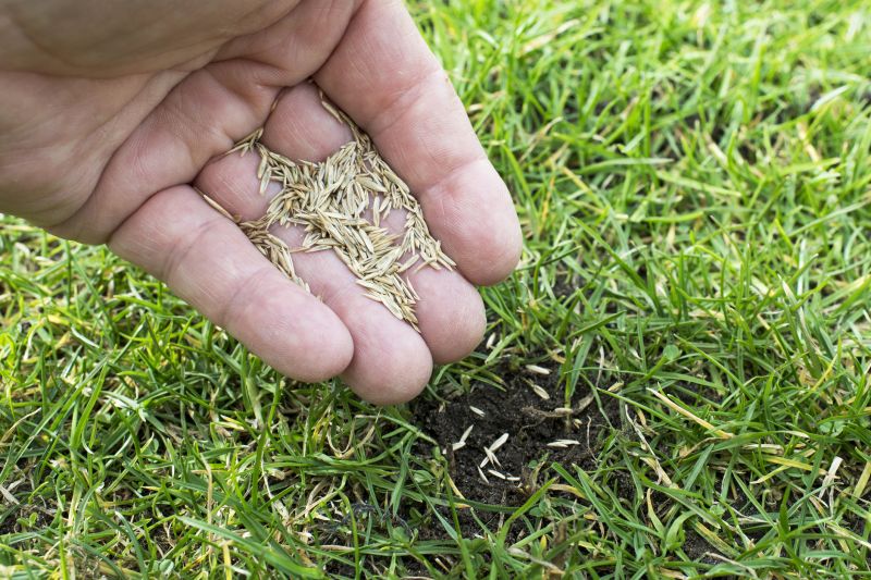 Spring Grass Seeding in Honolulu, HI