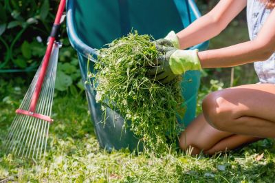 Spring Lawn Cleanup in Ventura County, CA