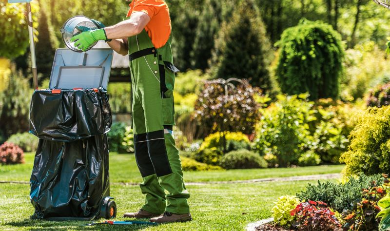 Spring Lawn Cleanup in Ventura County, CA