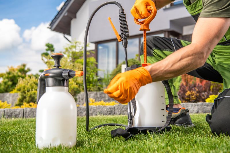 Spring Lawn Treatment in Ventura County, CA