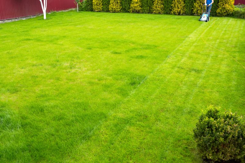 Summer Lawn Care in Bowie, MD