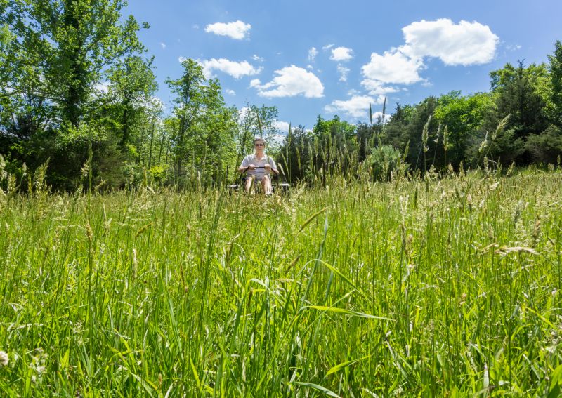 Tall Grass Mowing in Bowie, MD