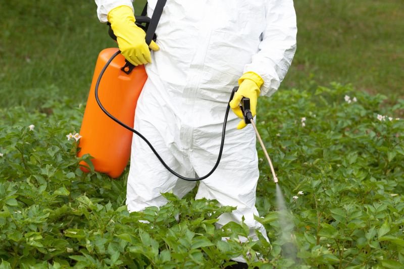 Thistle Treatment in Aiken, SC