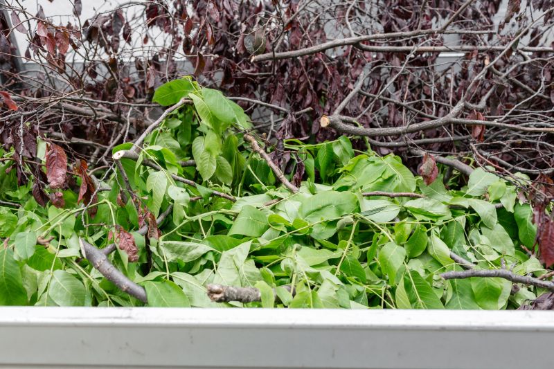 Tree Branch Disposal in Honolulu, HI