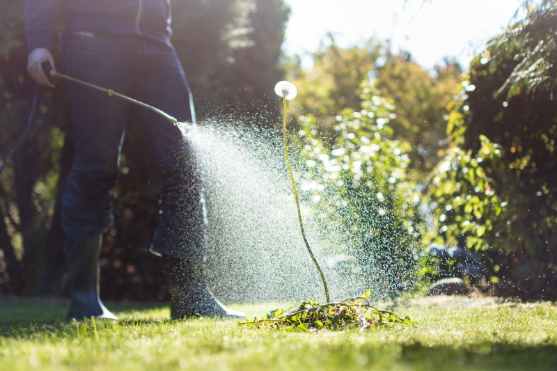 Weed Control Service in Rockwall, TX