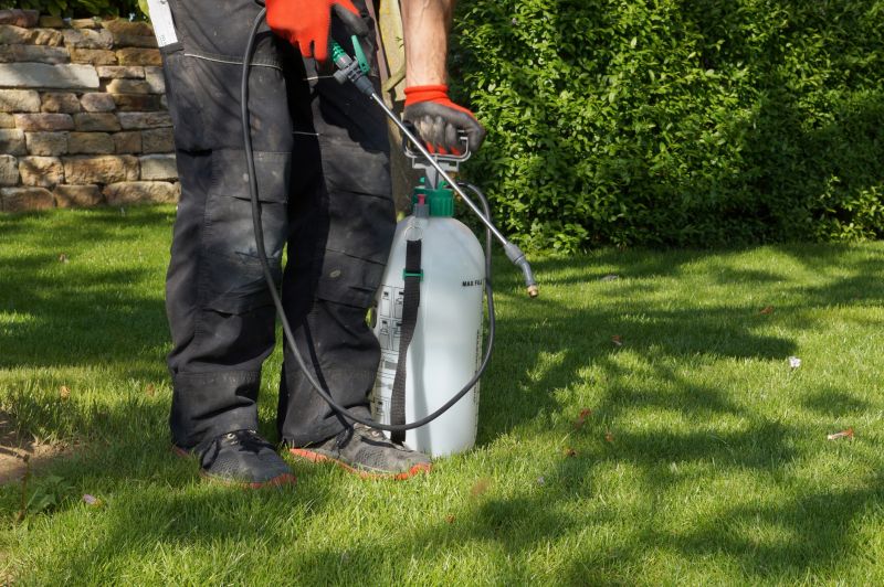 Weed Control Service in Rockwall, TX