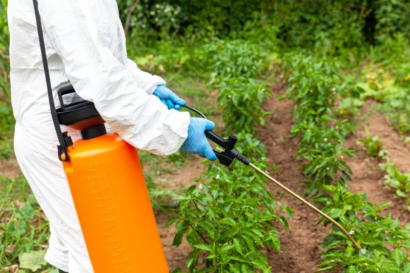 Weed Spraying in Rockwall, TX