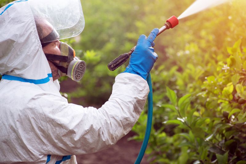 Weed Spraying in Rockwall, TX
