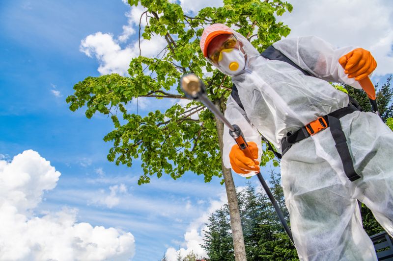Weed Spraying in Aiken, SC