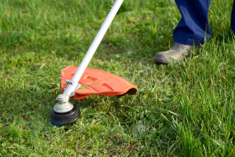 Weed Whacking in Bowie, MD