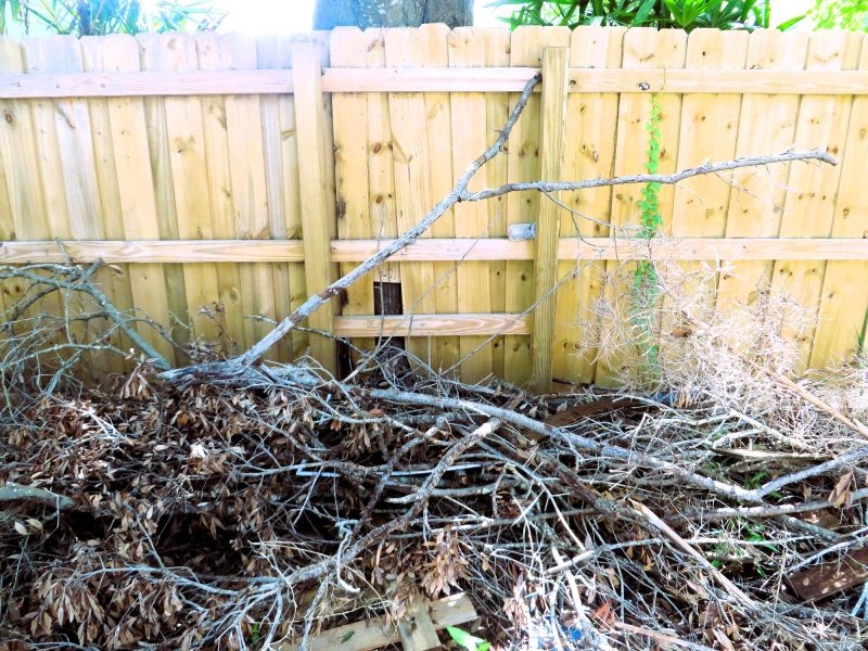Wood Pile Removal in Honolulu, HI