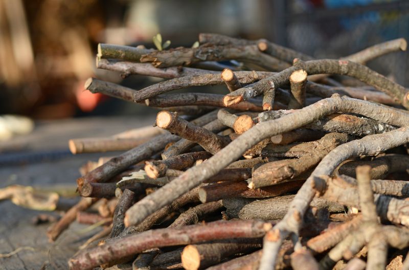 Wood Pile Removal in Honolulu, HI