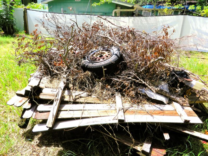 Yard Debris Removal in Honolulu, HI
