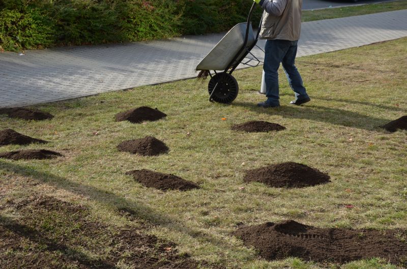 Yard Improvement Service in Honolulu, HI