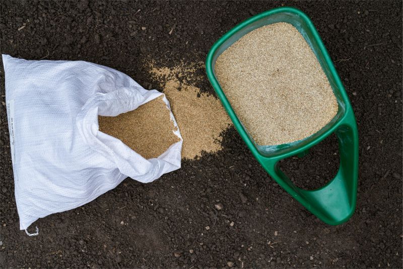 Yard Seeding in Honolulu, HI